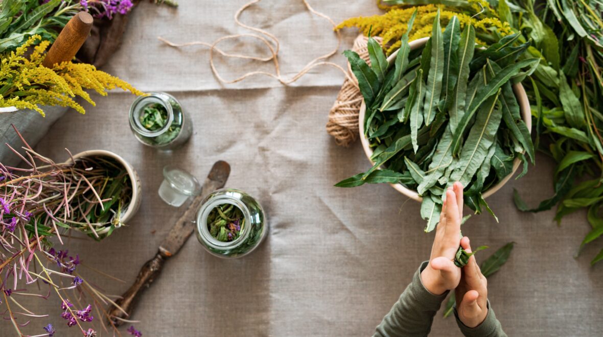 Ziołolecznictwo w praktyce: Jakie zioła warto włączyć do codziennej diety